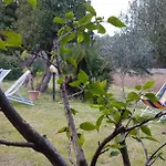 Pareja * Orosei
