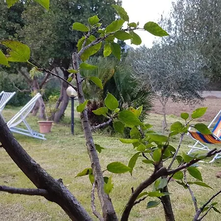 Pareja * Orosei