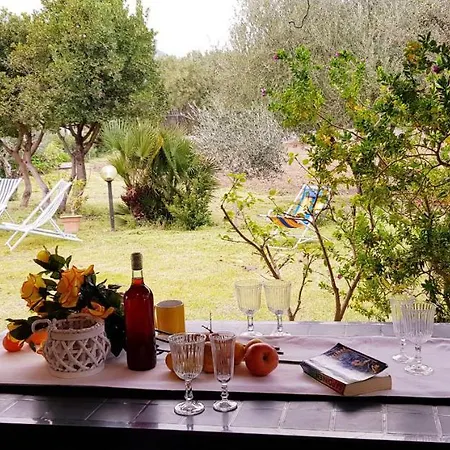 Appartement Pareja *